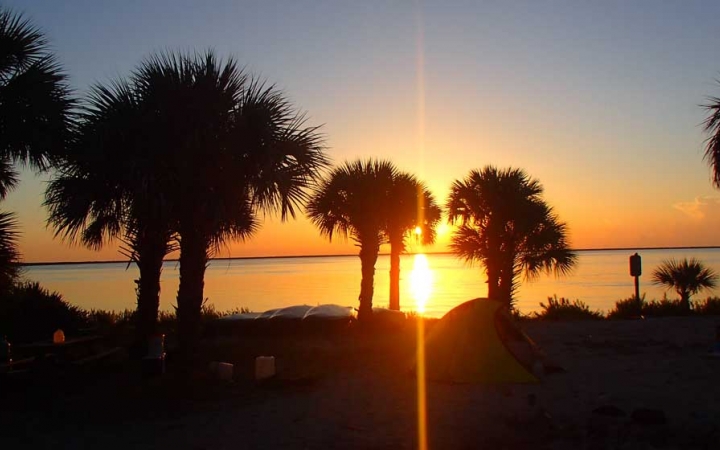 The sun sets on the horizon of a body of water. There are palm trees in the foreground. 